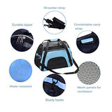 Cat Carrier (Light Blue)