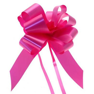10 Piece Gloss Gift and Floristry Bow (Pink)