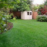 Home & Garden Liquid Lawn Feed 650ml