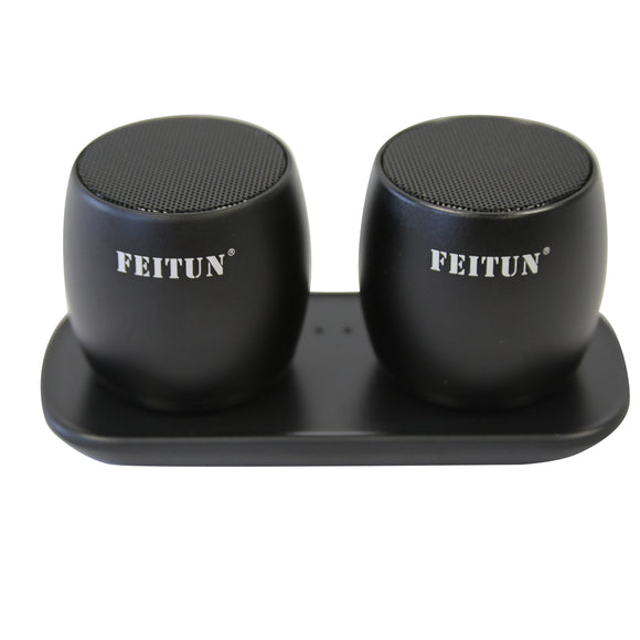 Feitun Twin Mini Bluetooth Speakers Pod (Black)